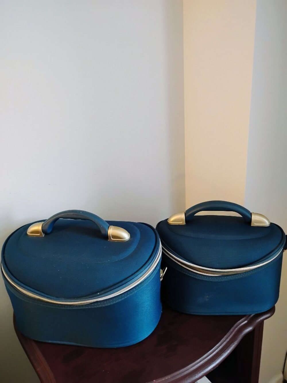 Wilsons Leather Train Case Set — 2 Matching Travel Cosmetic Bags, Teal